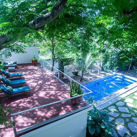 נובו ואלארטה Villas Parota Inn מראה חיצוני תמונה